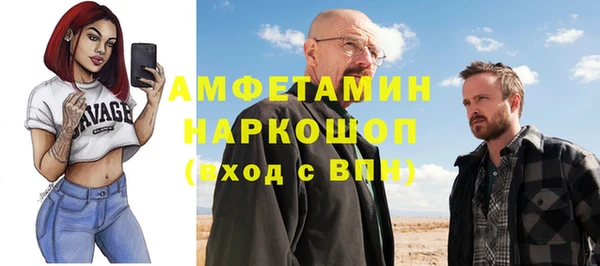 гидра Верхний Тагил