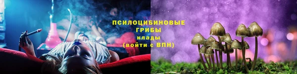 Альфа ПВП Бородино