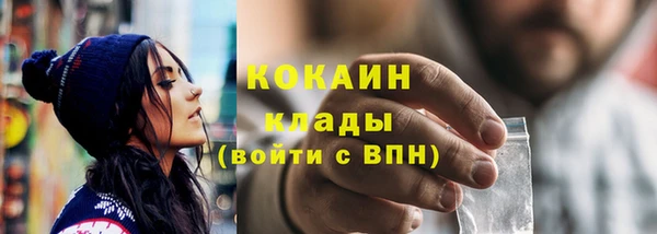 Альфа ПВП Бородино