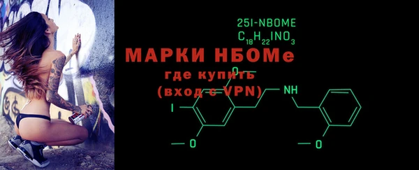 гидра Верхний Тагил